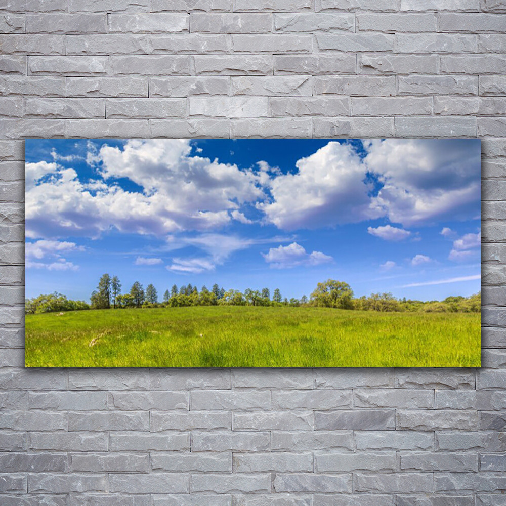 Tableau sur verre acrylique 120x60 cm impression prairie et herbe sauvage Tulup