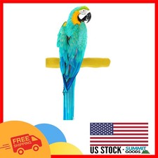 Large Concrete Bird Perch with Comfort Grip - Easy Install for Happy Birds