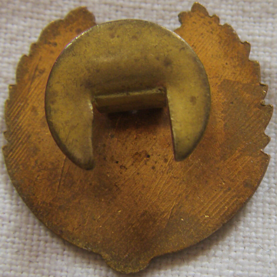 BG6120 - INSIGNE BADGE CHARLEROI 1976