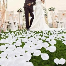 füsse für pflanztöpfe Elegante Pflanztopf-Füße aus Keramik | Perfekter Untersetzer main image 0