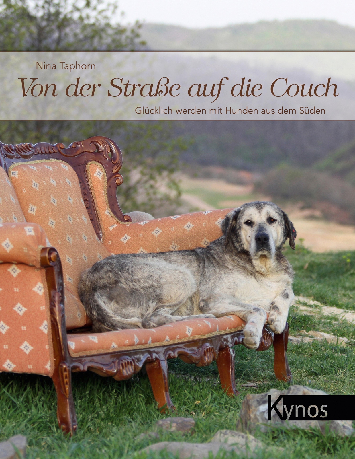 Thumbnail - Von Der Straße Auf Die Couch | Glücklich Werden Mit Hunden Aus Dem
