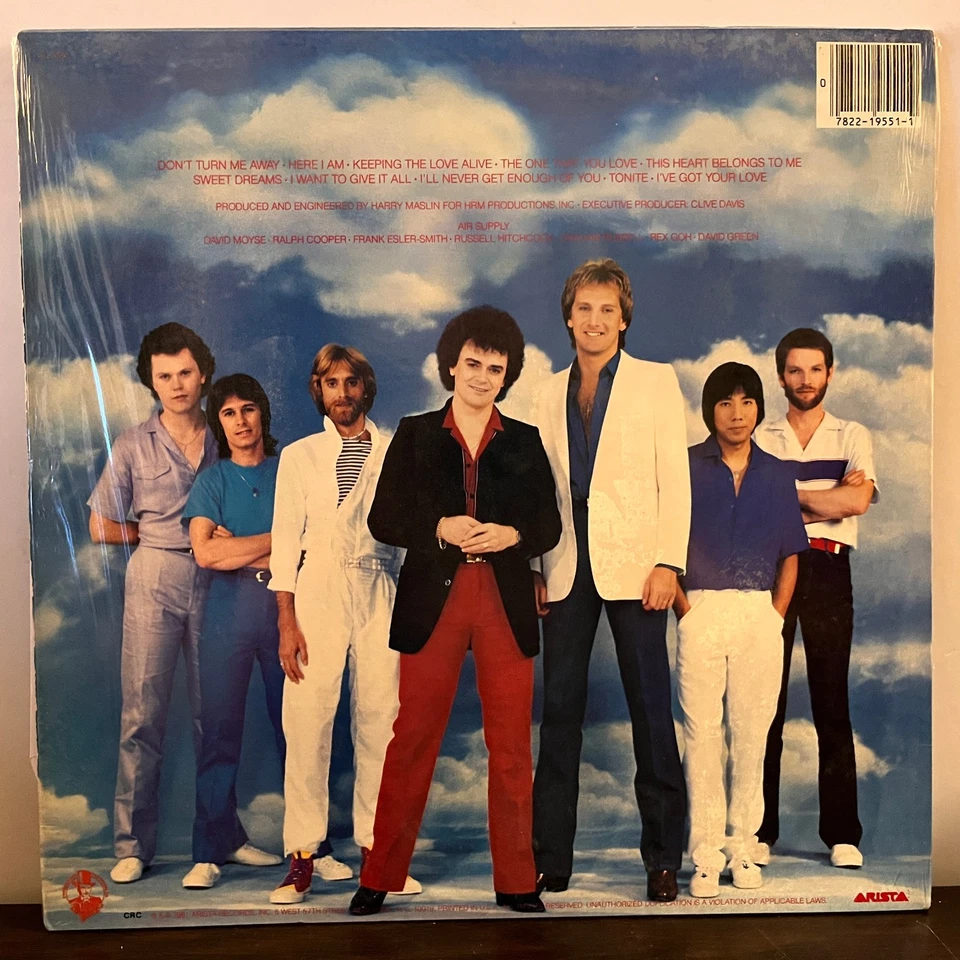 AIR SUPPLY - The One That You Love (1981) - 12" Vinyl Record LP - VG+ Foto 2 de 3