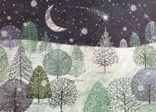 PETER PAUPER PRESS A Midnight Clear Deluxe Boxed Holiday Cards 20 cards and 2...