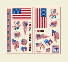 USA Football Soccer World Cup Champions Winners Waterproof Temporary Tattoo for