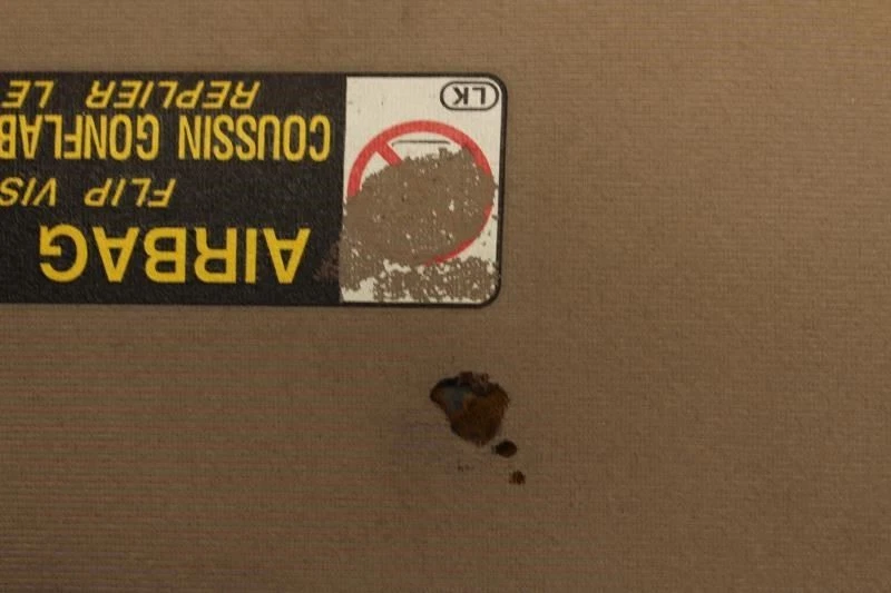 Lexus Es300 2000 pasajero derecho parasol sombra bronceado moldura WZ03 (daño) Foto 3 de 4