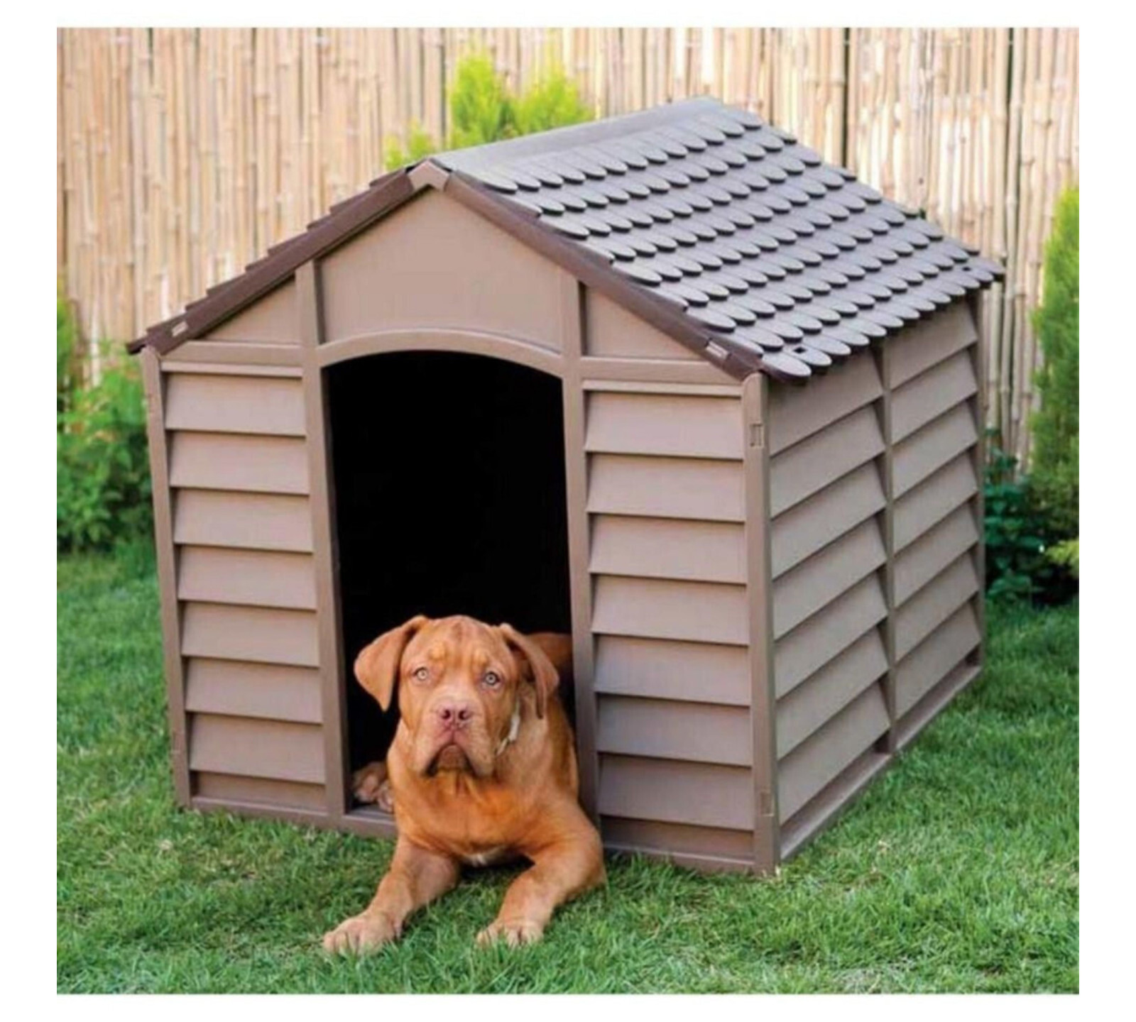CUCCIA PER CANI DA ESTERNO cm.86x84,5x60/82h MARRONE TAGLIA GRANDE MEDIA