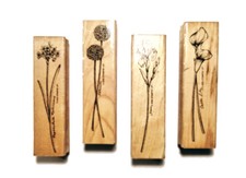 Floral Stamp Lot of 4 Flowers Narcissus Allium Iris Calla Lily Stampin Up