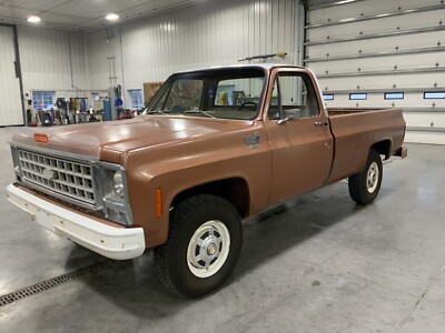 1980 Chevrolet Custom Deluxe 20 4x4   | 24x36 inch POSTER | classic pickup truck