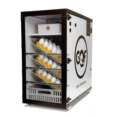 NEW GQF 1502 - Digital Sportsman Cabinet Incubator Hatching Eggs MADE IN USA