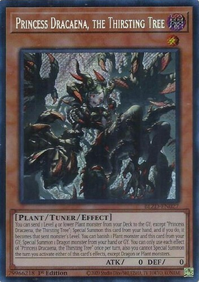 #ad *** PRINCESS DRACAENA THE THIRSTING TREE *** SECRET RARE BLZD EN027 YUGIOH $9.95