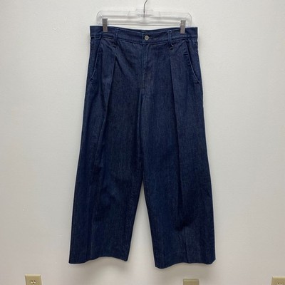 Banana Republic Womens Blue Denim Pleated High Rise Relaxed Wide Leg Jeans  29P