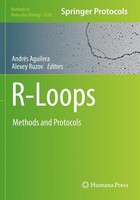 R-Loops Methods And Protocols AndréS Aguilera (U. A.) Taschenbuch Xiv Englisch