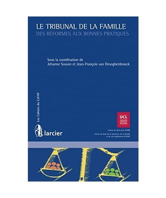 Le tribunal de la famille: Des réformes aux bonnes pratiques, Collectif