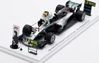 SP570 Spark RW24003 1:43 W09 EQ Power #44 Win Brazil GP 2018 Dirty Ver Realwin