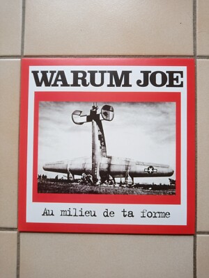 Warum Joe: Mitten in deiner Form (Vinyl)