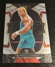 2023 Panini Select WWE Mr. Perfect Curt Hennig #17
