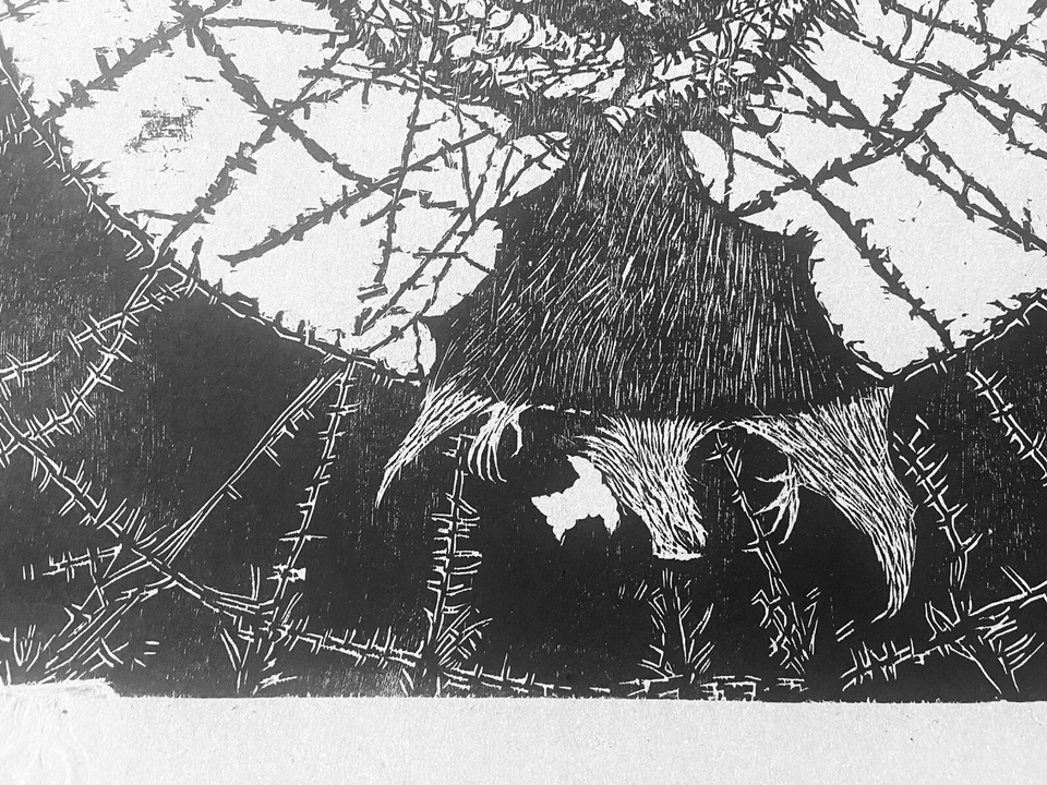 ASARO COLECTIVO 2006 Oaxaca Levantamiento Muerte. Francisco Toledo Rufino época Tamayo Foto 3 de 4