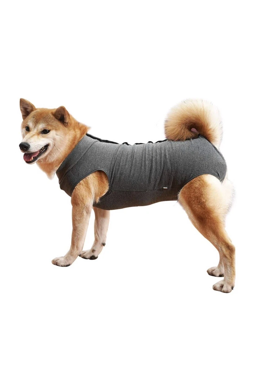 Dog t shirt cheap to cover wound