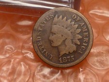  on The Hot Collector