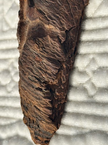 Wood Spirit Carving Tree Wizard Log Face Forest Gnome Sculpture Signed Date 14” - Picture 17 of 23