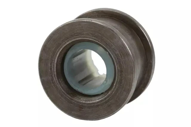 Rodillo de retención de bisagra de puerta genuino GM 20058035 Foto 2 de 4