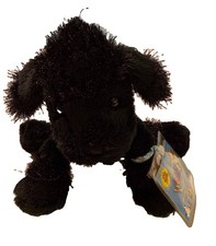 Webkinz Lil Kinz Black Poodle Plush HS191 Ganz Stuffed Animal New With Tag