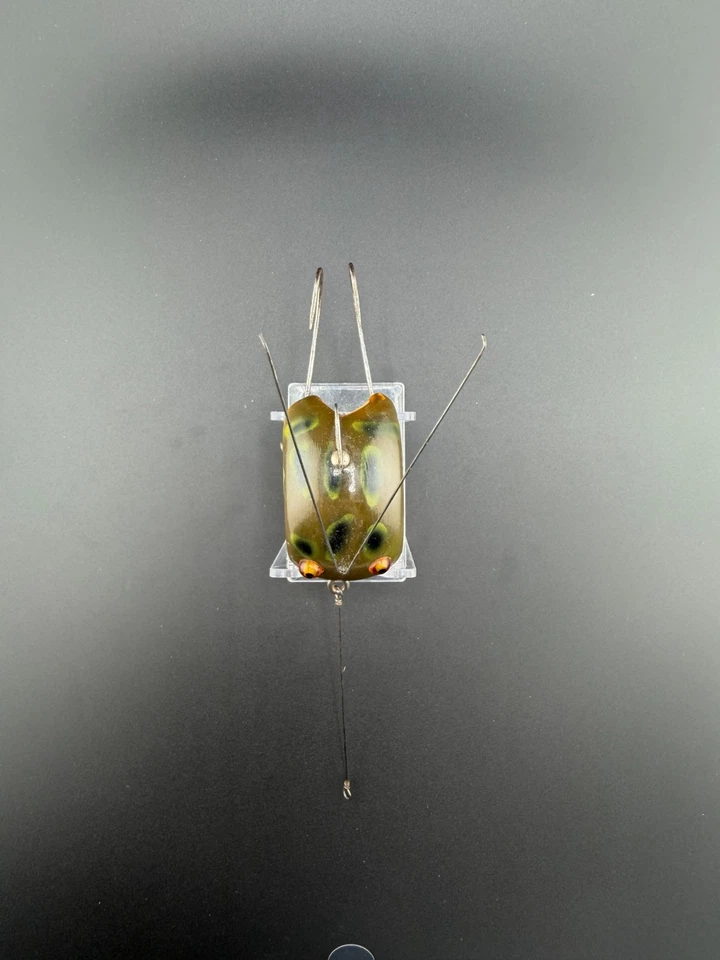 **EXTREMELY RARE ** Vintage Creek Chub Frog Spot Weed Bug No. 2800(Circa 1936) - Image 3 of 4