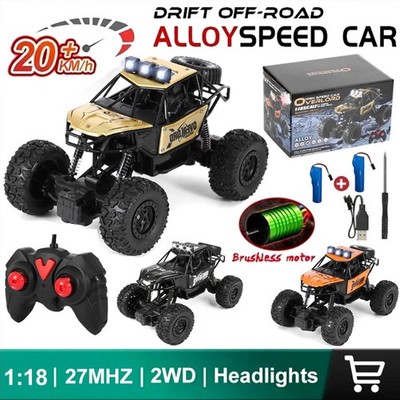 Ferngesteuertes Auto 1:18 RC Offroad 25km/h Monster Truck Buggy 30+ Minuten 2025