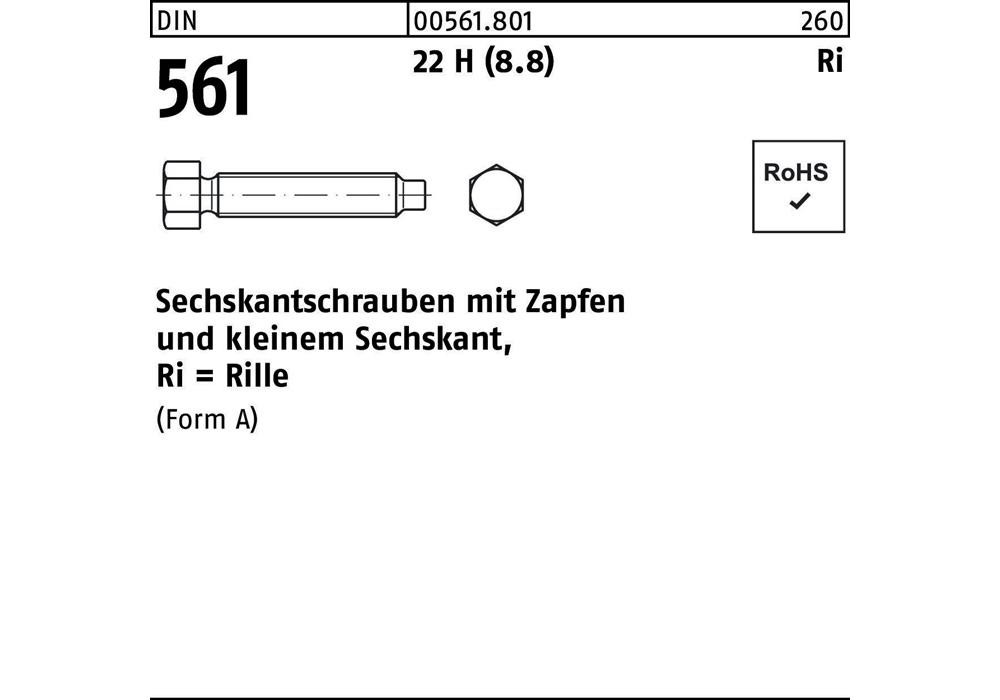 Рейхсканцлер DIN 561 m.Zapfen AM 24 x 140 22 H (8,8)