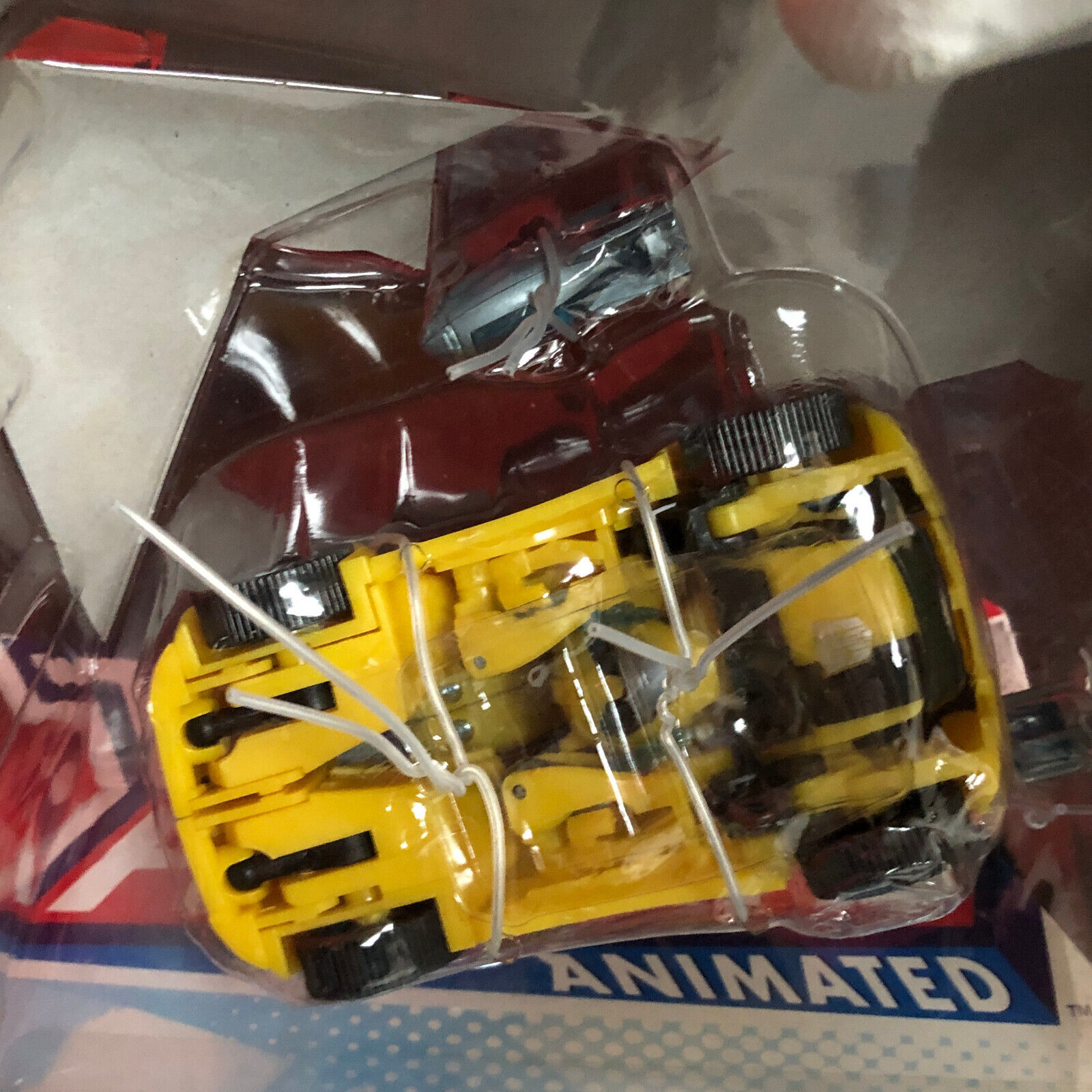 Foto 11 di 11