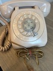 Foto 1 di 24
