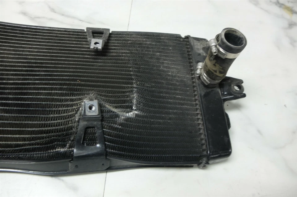 Radiador 10 Triumph Thunderbird 1600 Foto 2 de 4