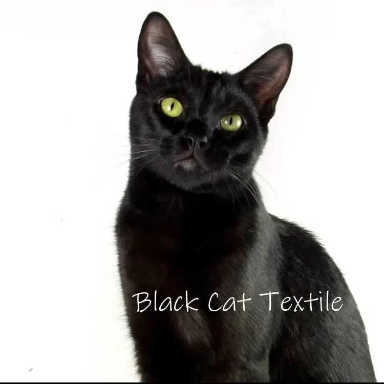 Pastel Dot Fabric Nursery Quilting Cotton 34x44 - Image 3 of 3