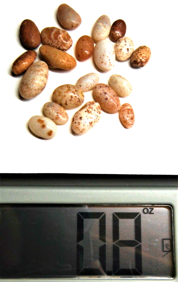 LAKE SUPERIOR AGATES x20 ️ Natural Stone Mineral Copper Harbor, MI