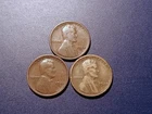 Lot of (3) Low-mid Grade 1924-S Lincoln Cents