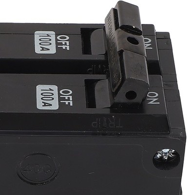 Miniatur Leistungsschalter 2P 100A 10KA Breaking Capacity Fiberglass Shell Plug