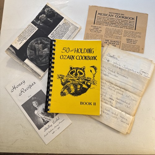 Climax Springs MO Missouri Cookbook Ethnic Ozark Hillbilly handwritten recipes