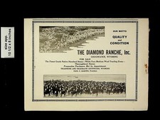 1927 Diamond Ranche Cattle Hereford Cattle Chugwater WY Vintage Print Ad 17426