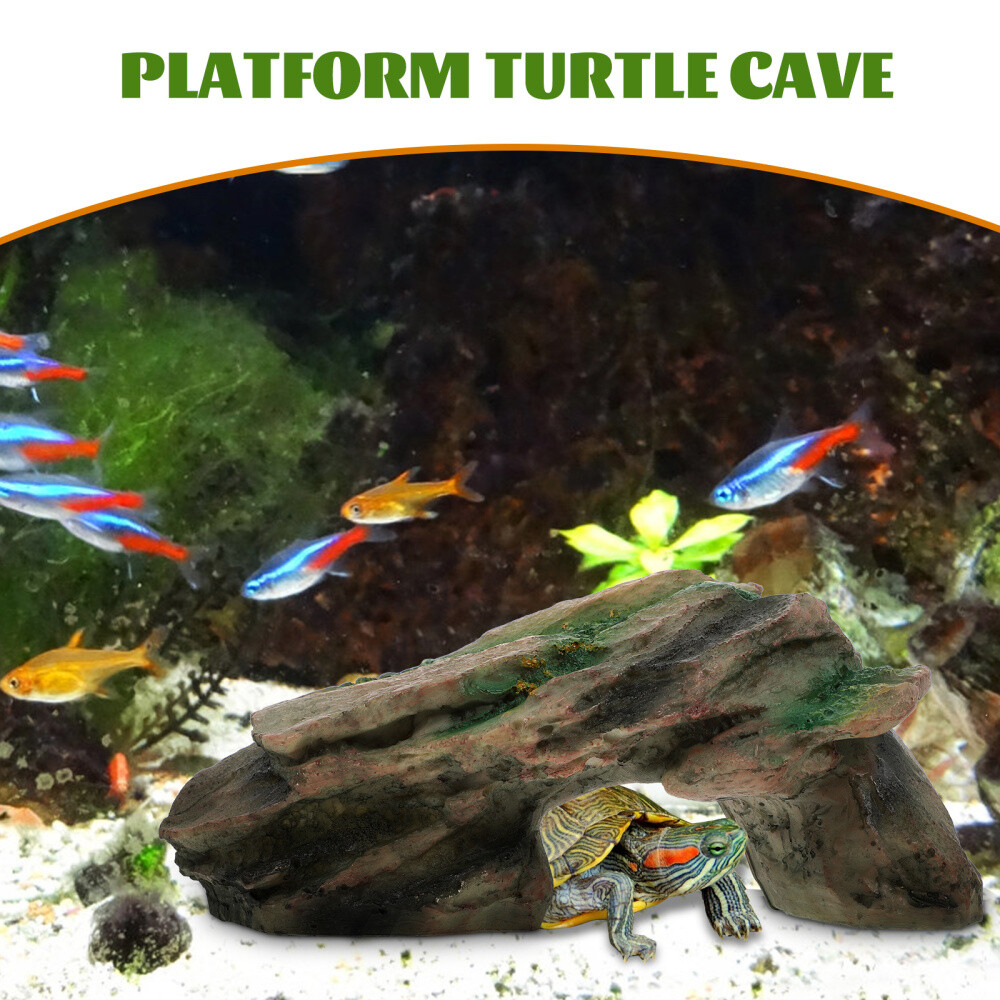 Keramik Reptilienfutterschale - Ausbruchsicher Für Futterinsekten