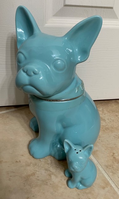 dog in a jar