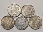 5 Morgan Silver Dollars - 5 Coin Lot - SKu22
