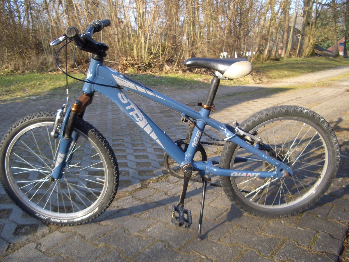 Giant 20 Zoll Rahmengre online kaufen | eBay.de