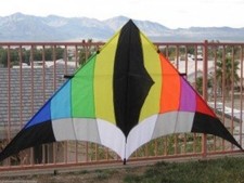 Delta Kite 108" x 55"  RipStop Nylon  Carbon Wrap Spars  Reel  Line  Swivel