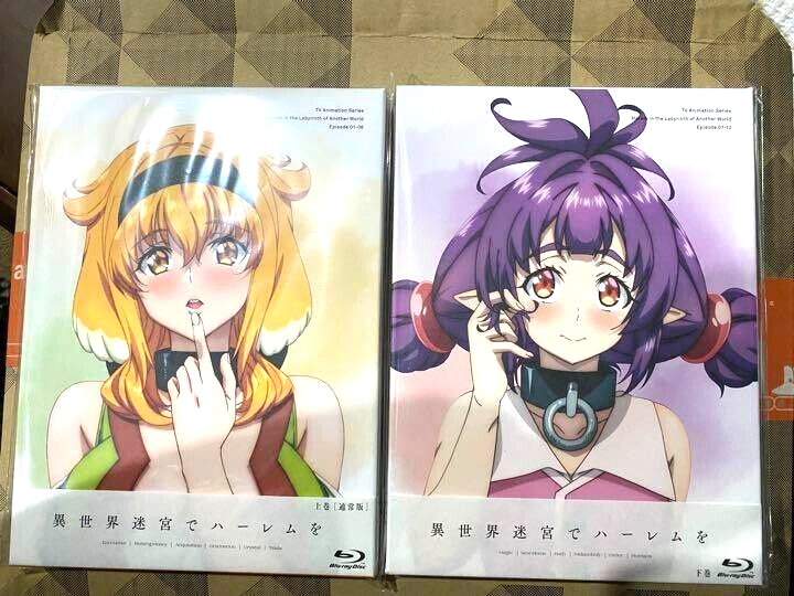 理芽 te'resa「IMAGINARY WORLD」Blu-ray 81RSoHl74VL._AC_UF894,