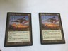 2 x Predator, flagship MTG Magic the gathering