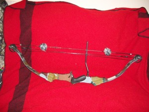 Details About Golden Eagle Pro Turbo Compound Bow