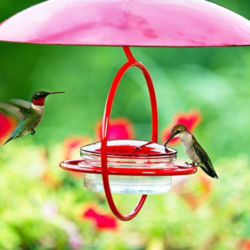 Couronne - Alimentador de colibrí esfera colgante con percha - Rojo - Imagen 4 de 6