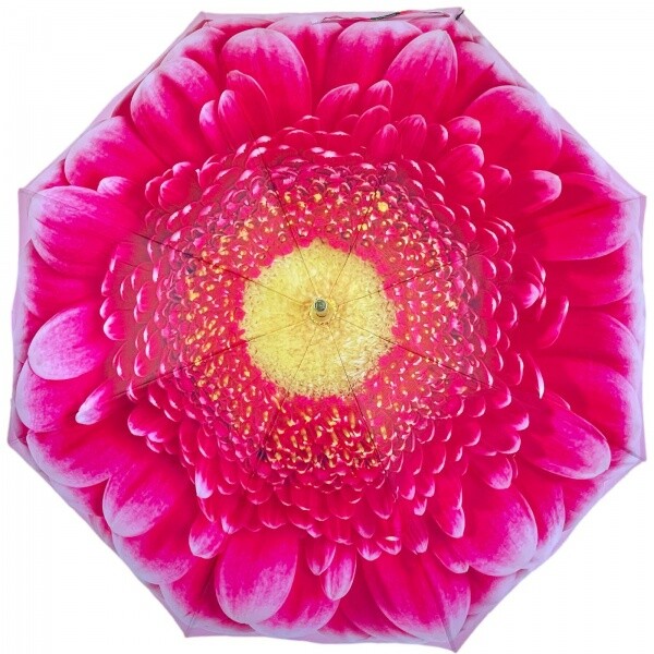 Stormking Classic Walking Length Umbrella - Floral Collection - Gerbera Dai...