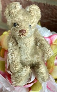 RARE Steiff Early Antique Mohair Mini Bear 3.5” Prewar Once White Brown Nose !