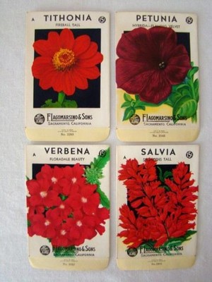 4 Vintage F. Lagomarsino & Sons Flower SEED PACKETS, Country Store, Unused #26
